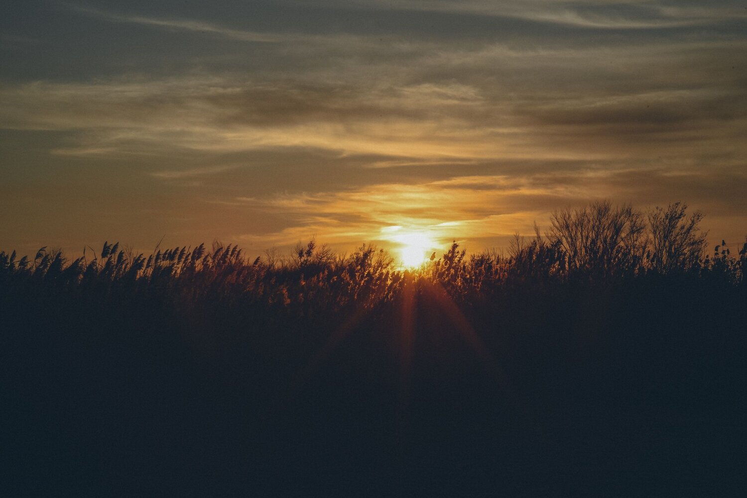 Photo #9712306