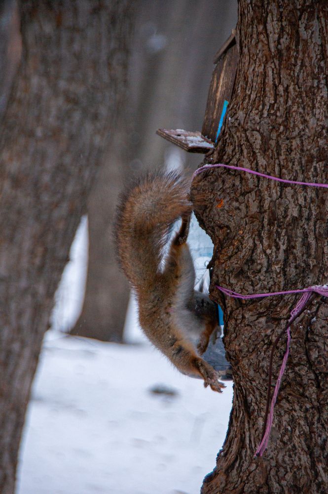 Photograph by Елизавета Корнилова