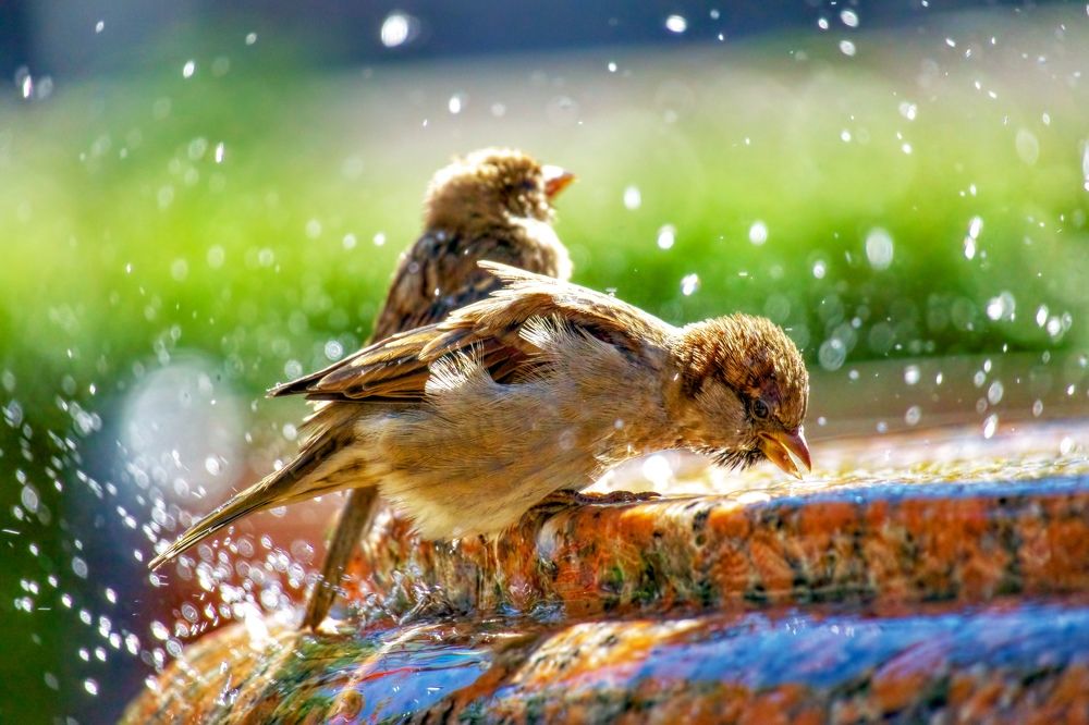 Photograph by Рахманин Михаил