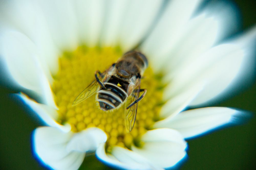 Photograph by Елизавета Корнилова