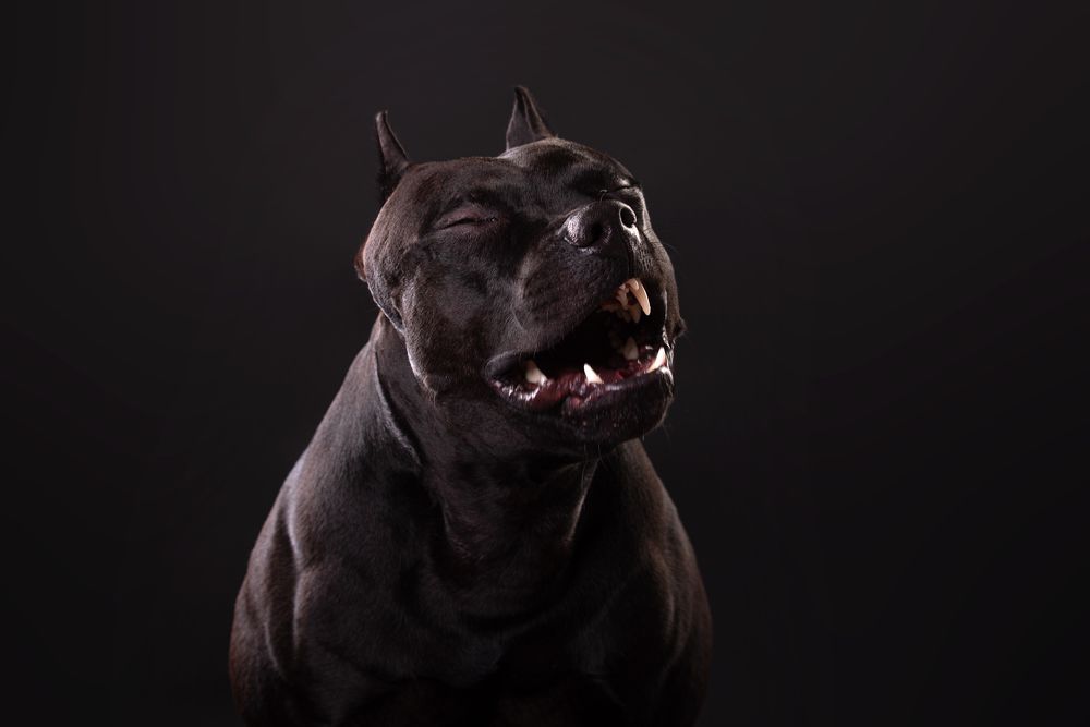 Photograph by наталья залогина