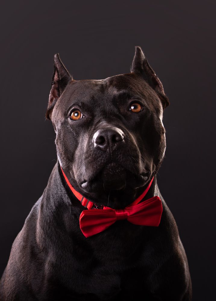 Photograph by наталья залогина