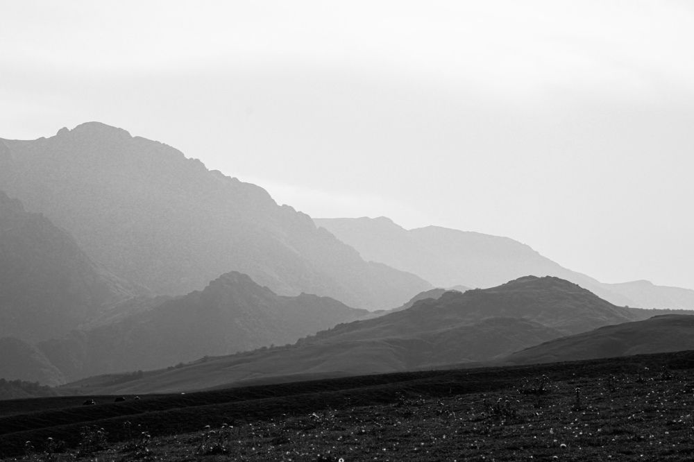 Фотография автора Nona Saghian