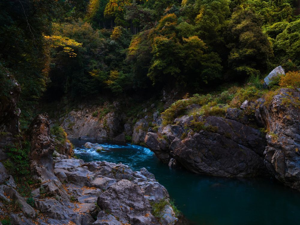 Photograph by SUZUKI HIDEMASA