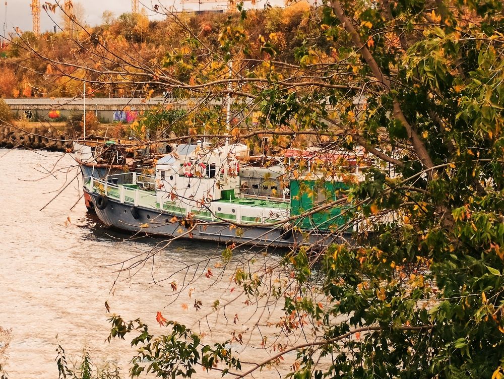 Photograph by Алла Беспалова