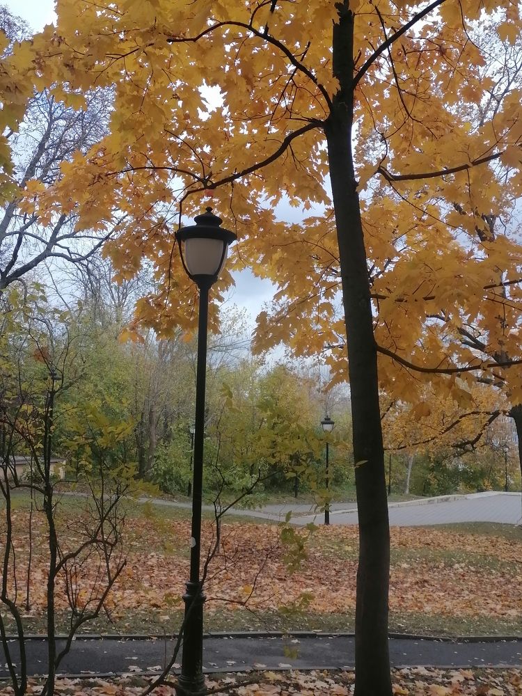 Photograph by Татьяна