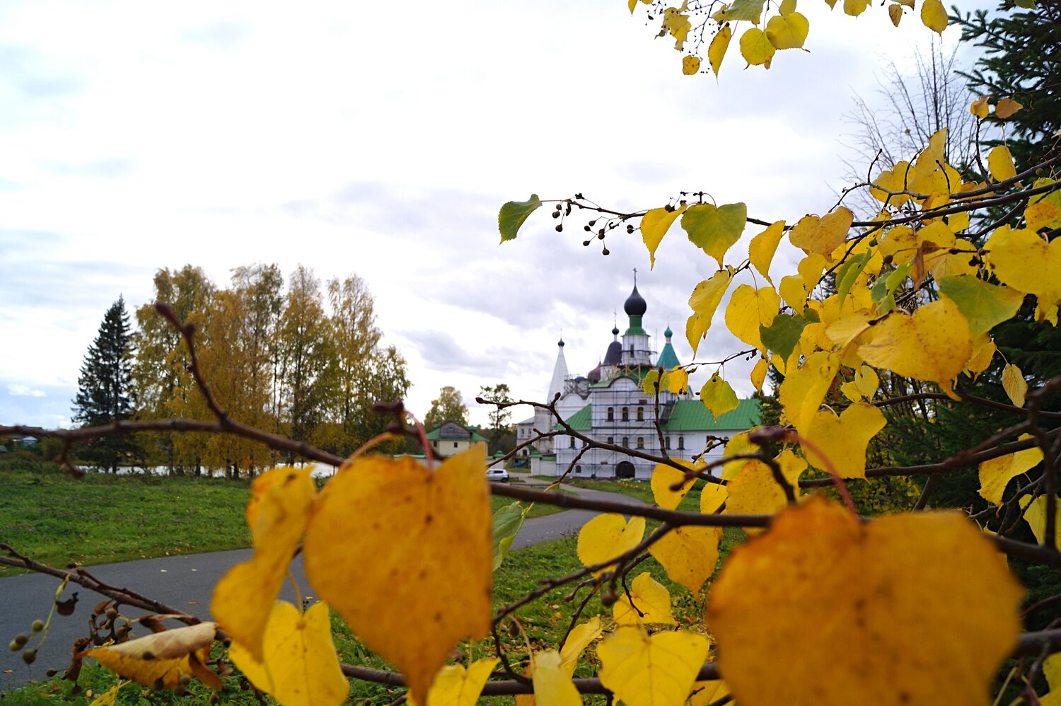 Photo #9712410