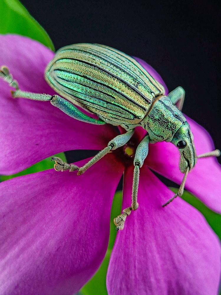 Photograph by Arnel Pios