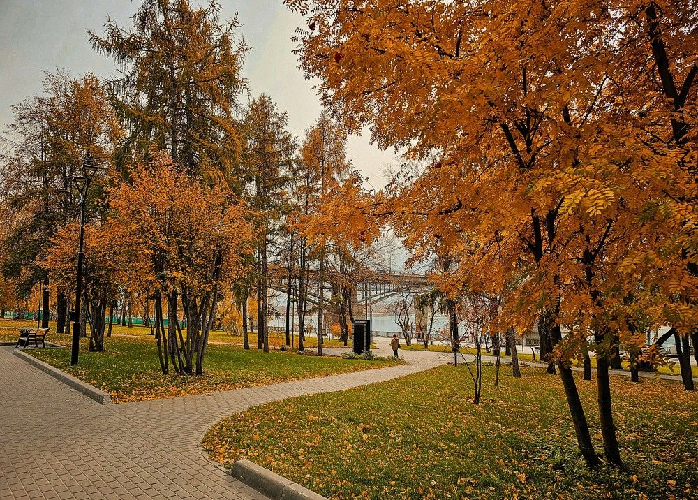 Фотография автора Максим Грибанов