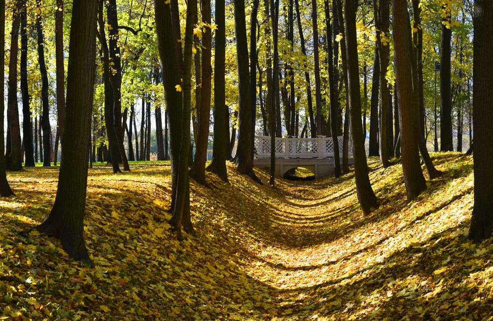 Photograph by Надежда