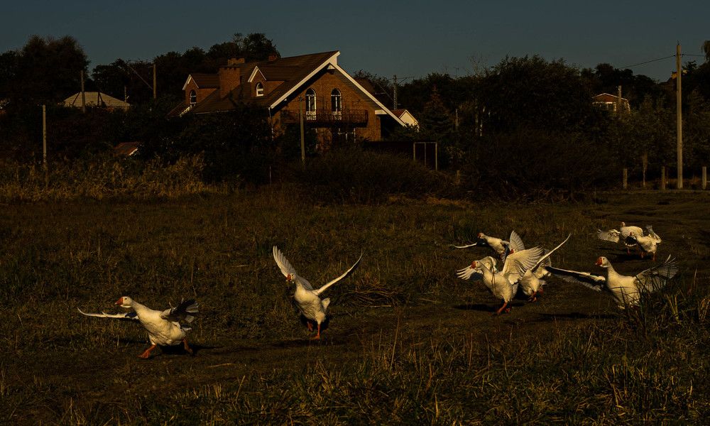 Photograph by Диана Поль