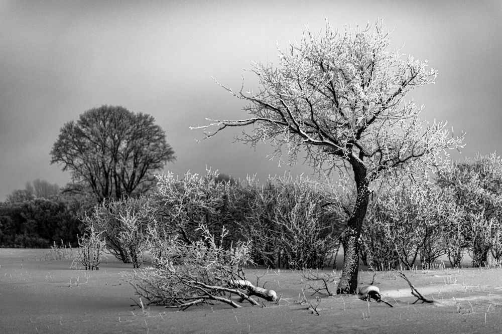 Зимний пейзаж у х.Воронцова.