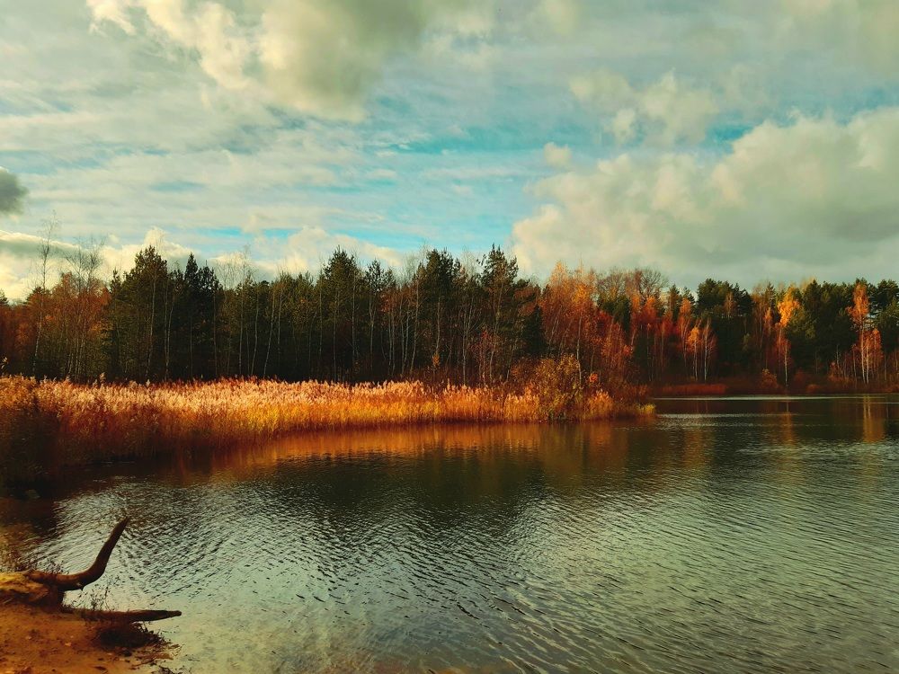 Photograph by Екатерина