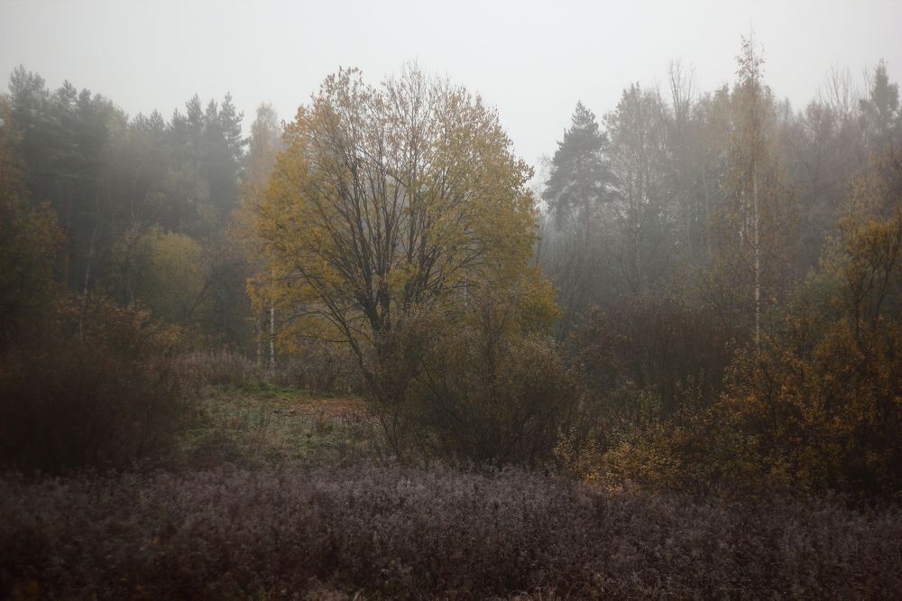 Фотография автора Михаил Кротков