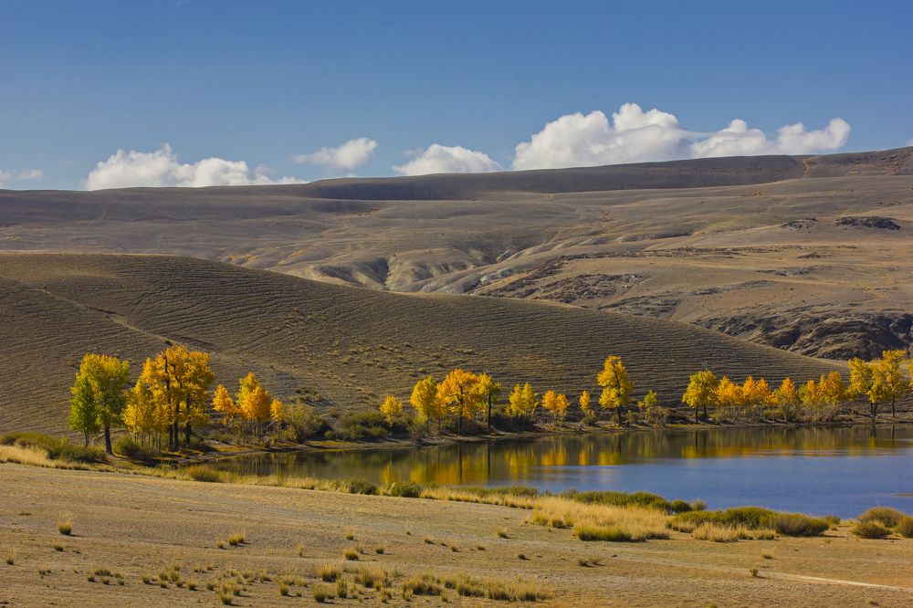 Photograph by Елена Павлова