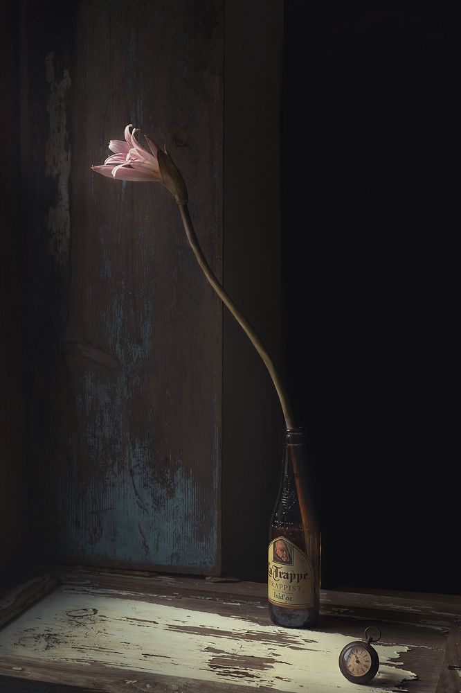 Photograph by Natalia Ricci