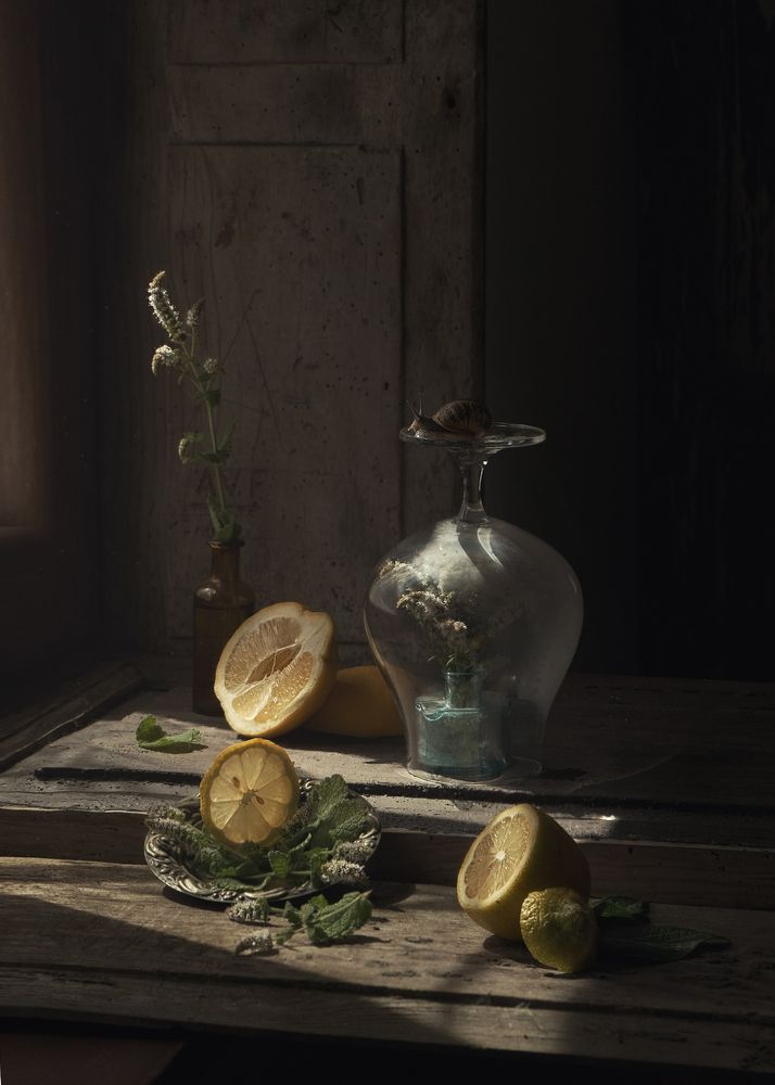 Photograph by Natalia Ricci