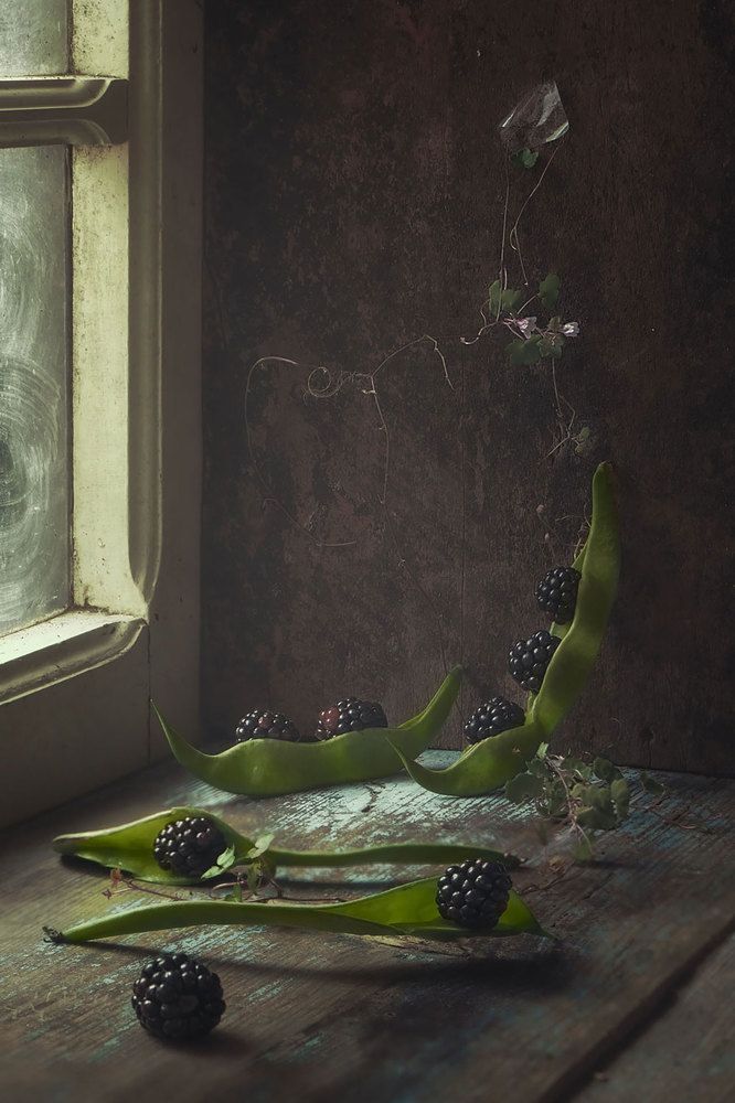 Photograph by Natalia Ricci