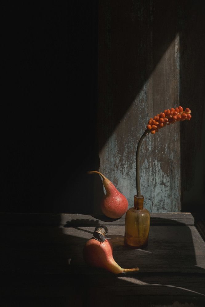 Photograph by Natalia Ricci