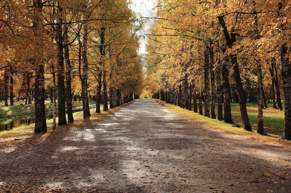 После дождя