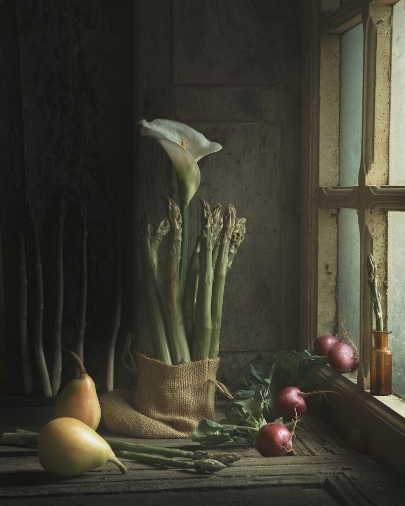 Photograph by Natalia Ricci