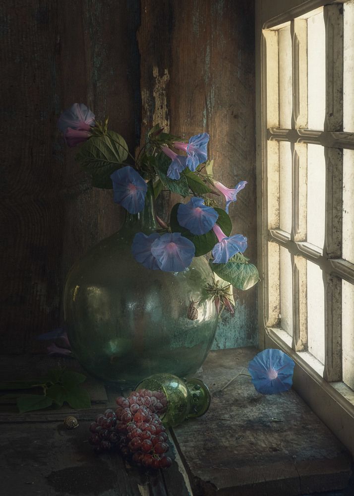 Photograph by Natalia Ricci