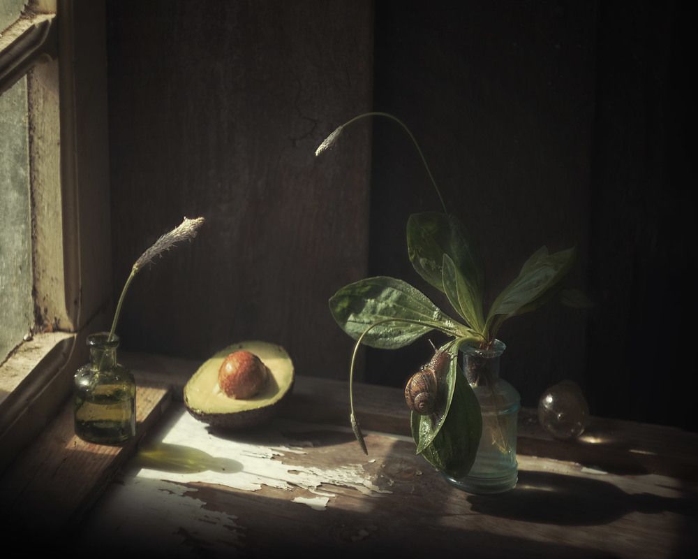 Photograph by Natalia Ricci