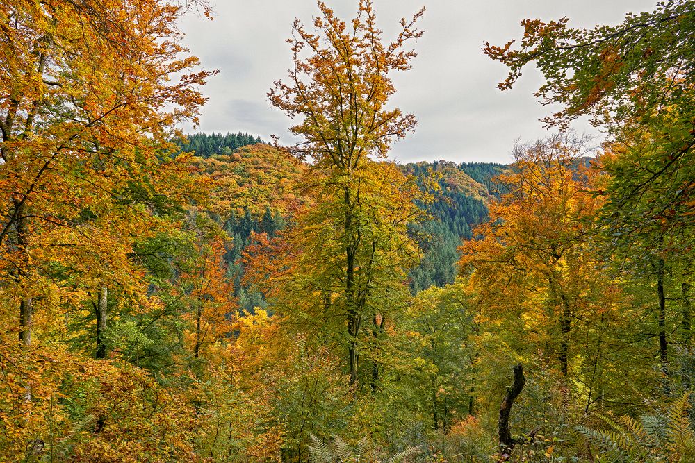 Photograph by Валерий