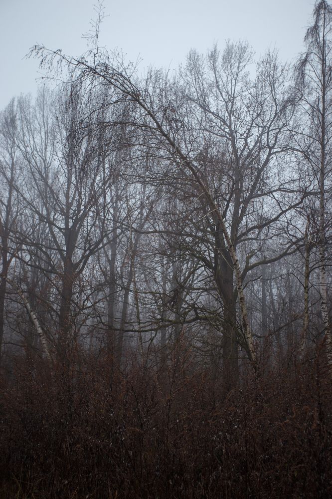 Photograph by Евгения Булычёва
