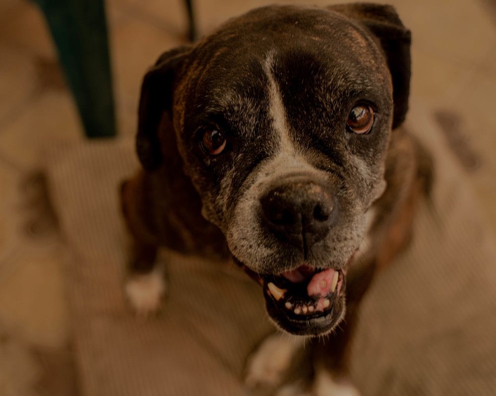 Photograph by Диана Поль