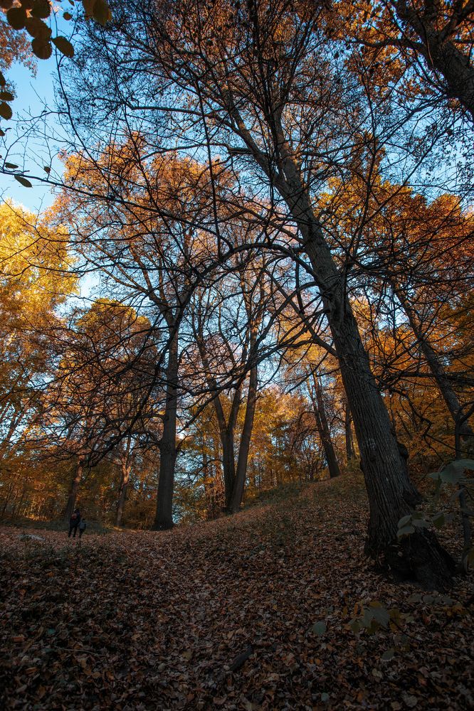 Photograph by Евгения Булычёва