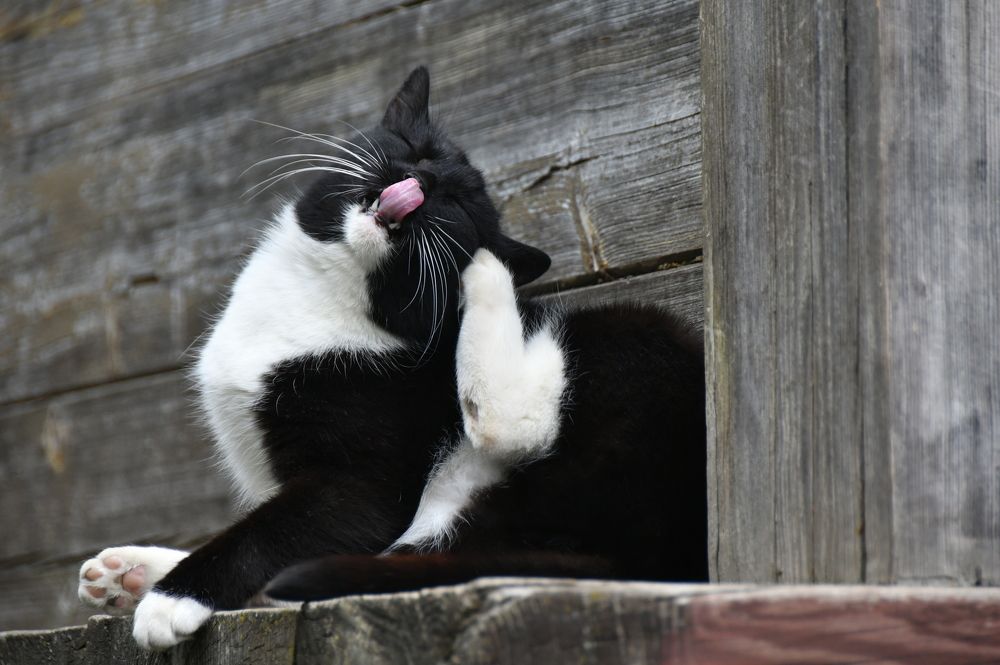 Photograph by Андрей Жуков