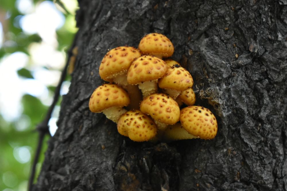 Photograph by Ольга