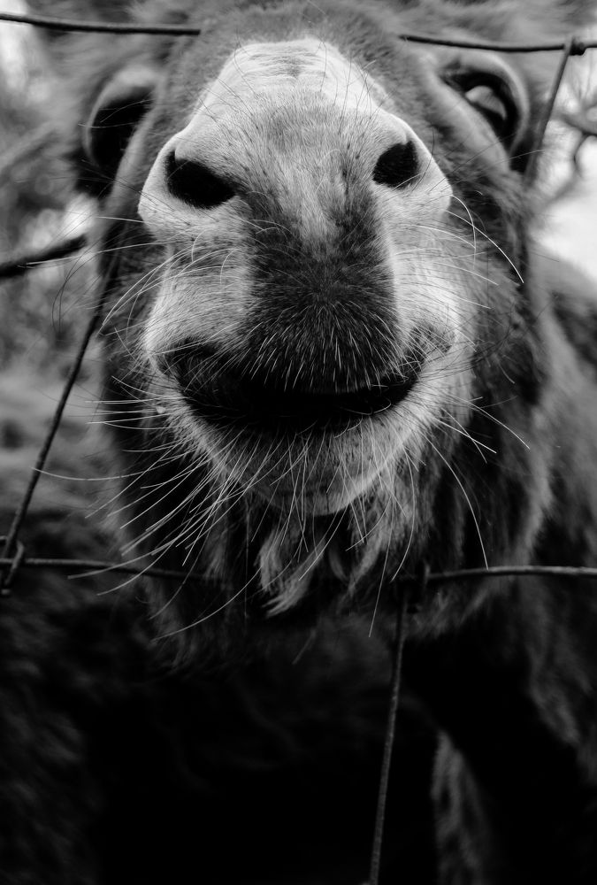 Photograph by Rachid azzouzy