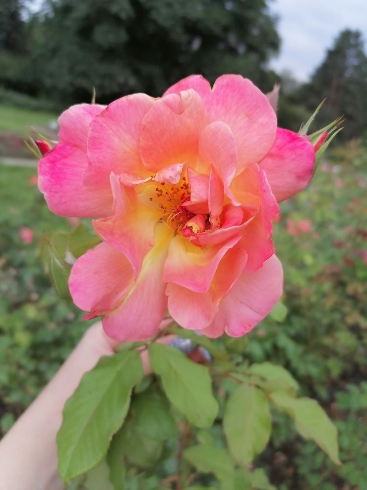 Photograph by Иващенко Юлия