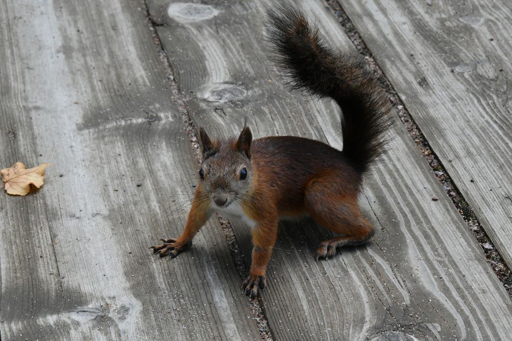 Photograph by Андрей Жуков