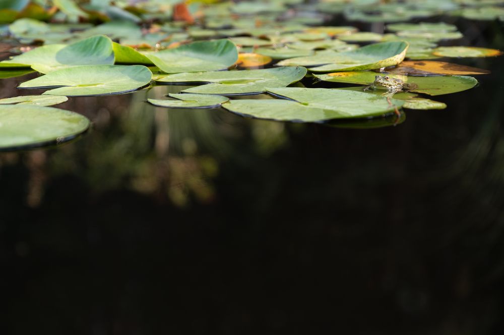 On the edge of nothing