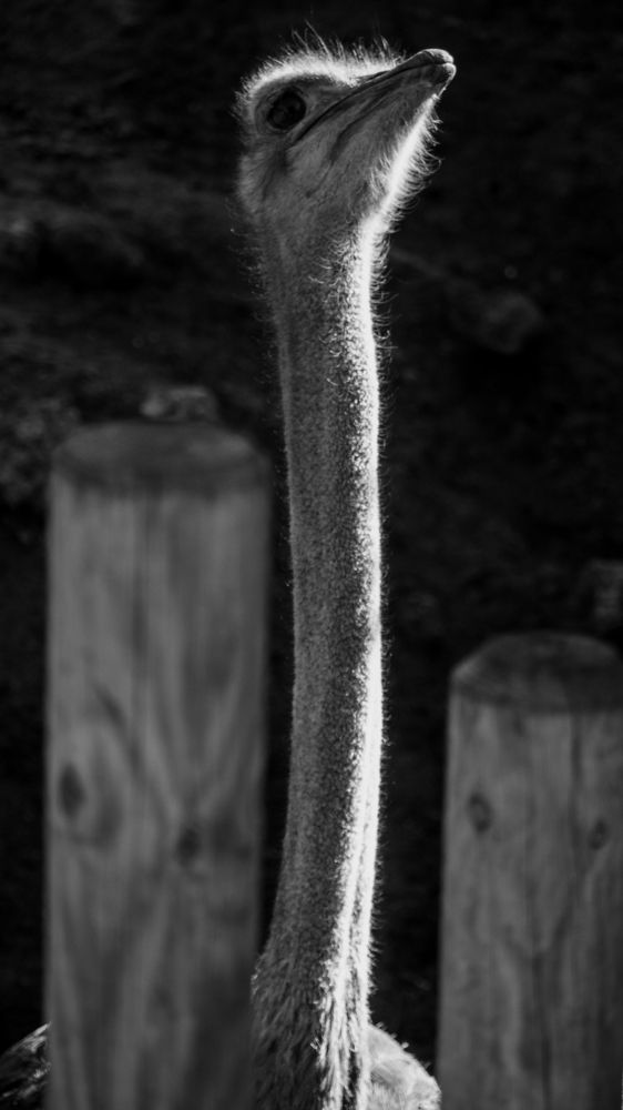 Photograph by Rachid azzouzy