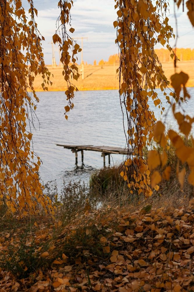 Photograph by Анна Фёдорова