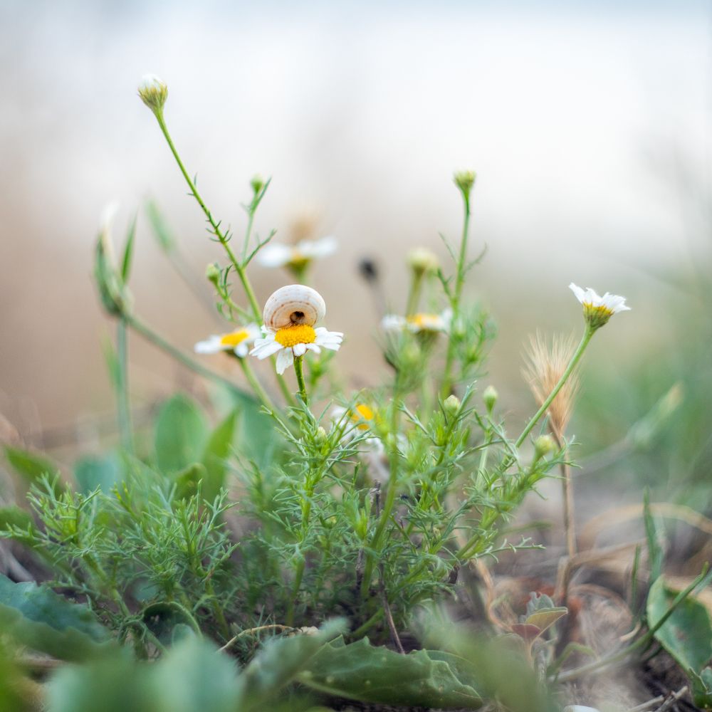 Фотография автора Панагушин Сергей
