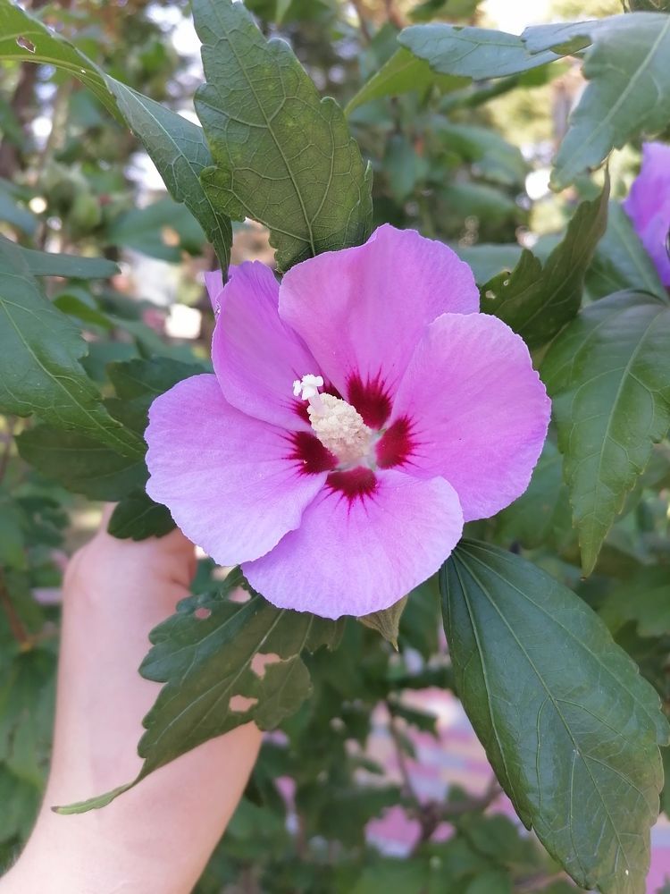 Photograph by Иващенко Юлия