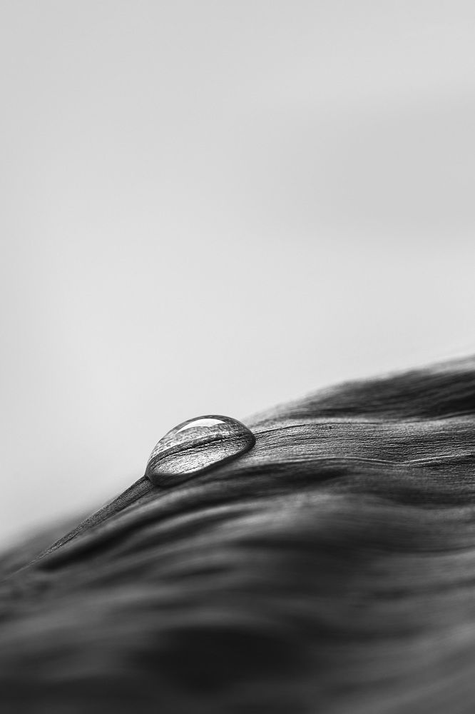 Photograph by Abel Cancino Gutierrez