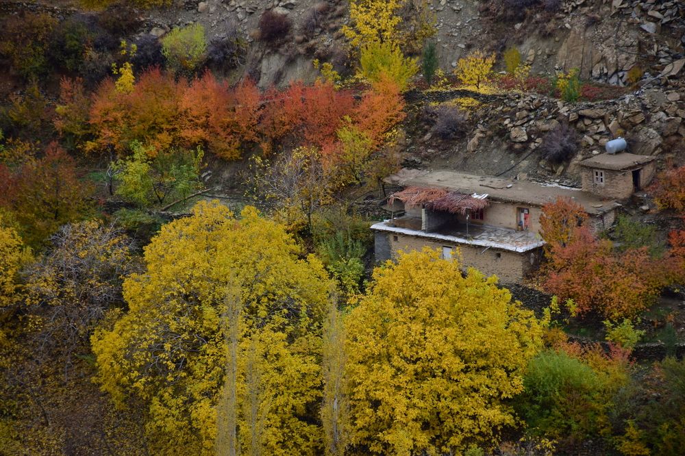 Photograph by Ehsan Fathi