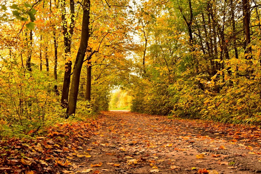 Photograph by Ирина Алексеева