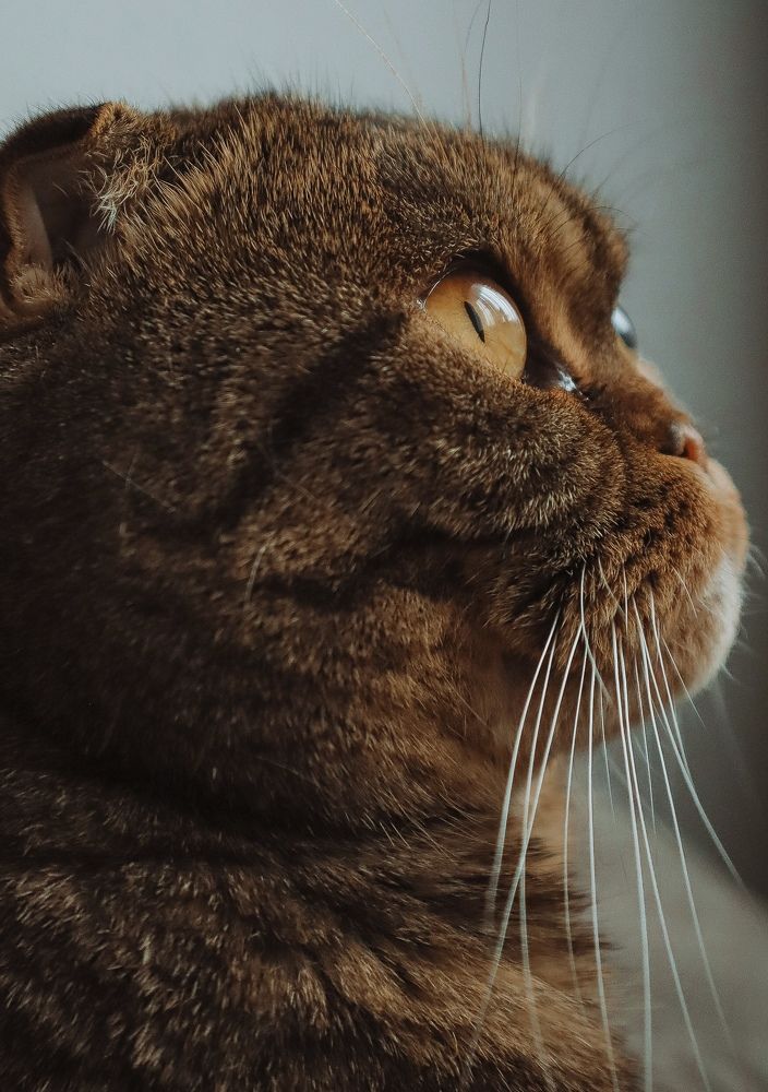 Photograph by Карина