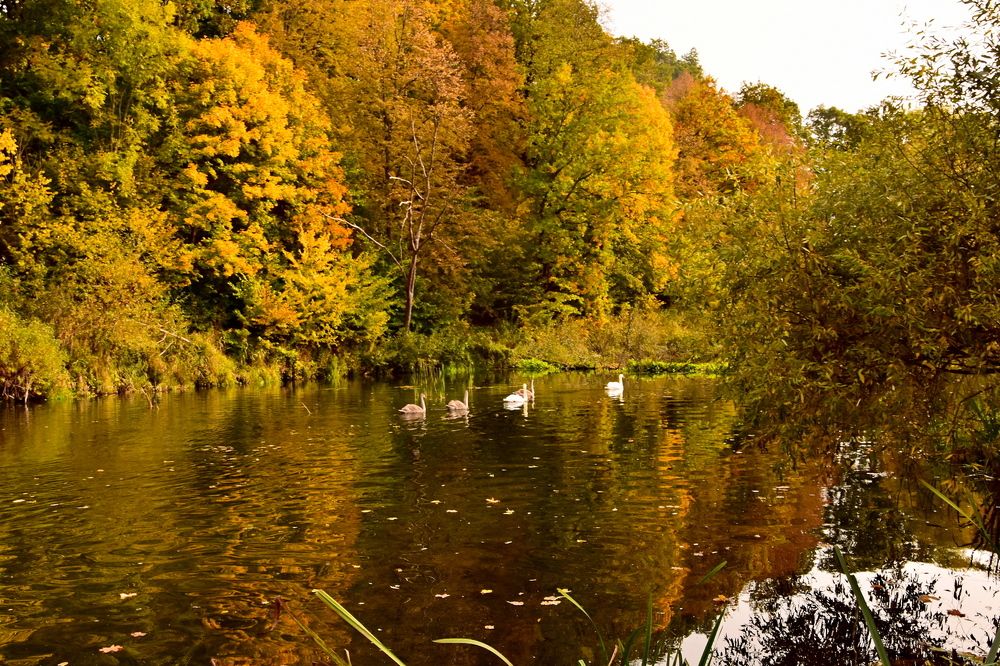 Photograph by Ирина Алексеева