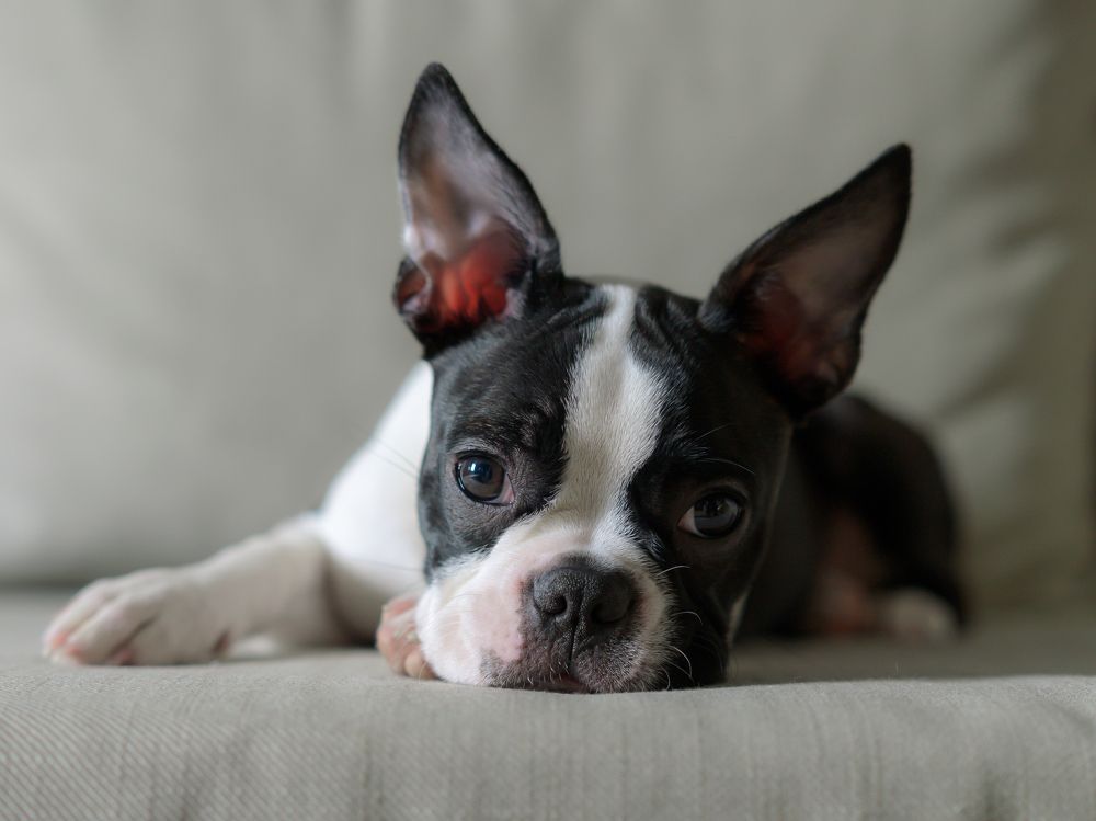 Photograph by Олег Иваницкий