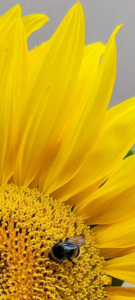 Рабочий процесс