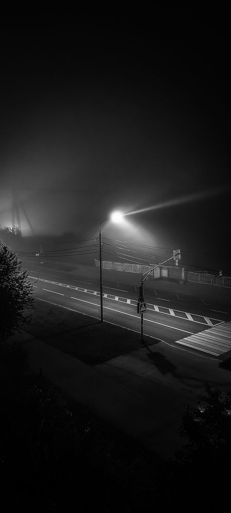 Сквозь ночь и туман