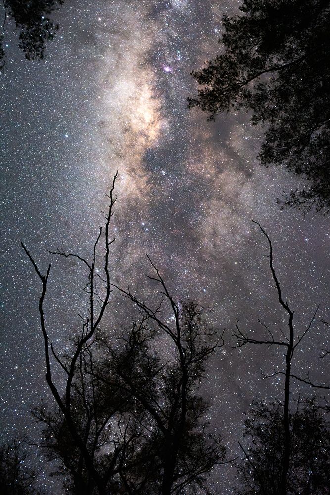 Photograph by Luis Sebastian Jeremías